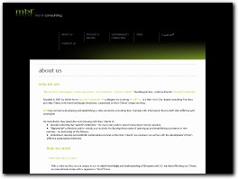 http://www.mbf-trend-consulting.com website
