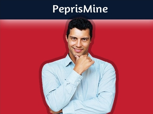 http://www.peprismine.com website