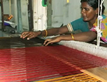 Handloom sarees