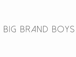 https://bigbrandboys.com/ website