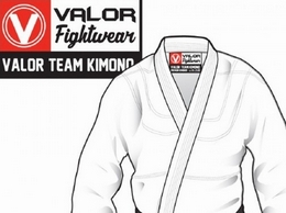 https://www.valorfightwear.com/ website