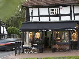 https://doodiestark.co.uk/ website