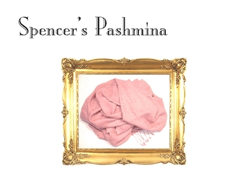 https://www.spencerspashmina.com/ website