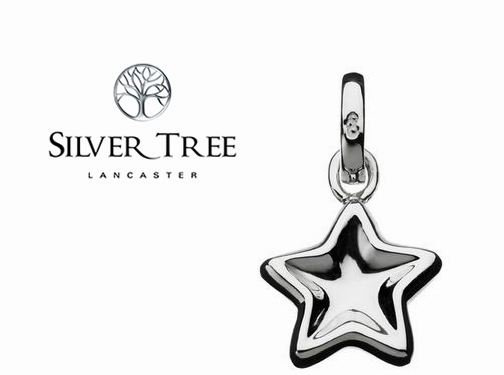 https://www.silvertreejewellery.co.uk/ website